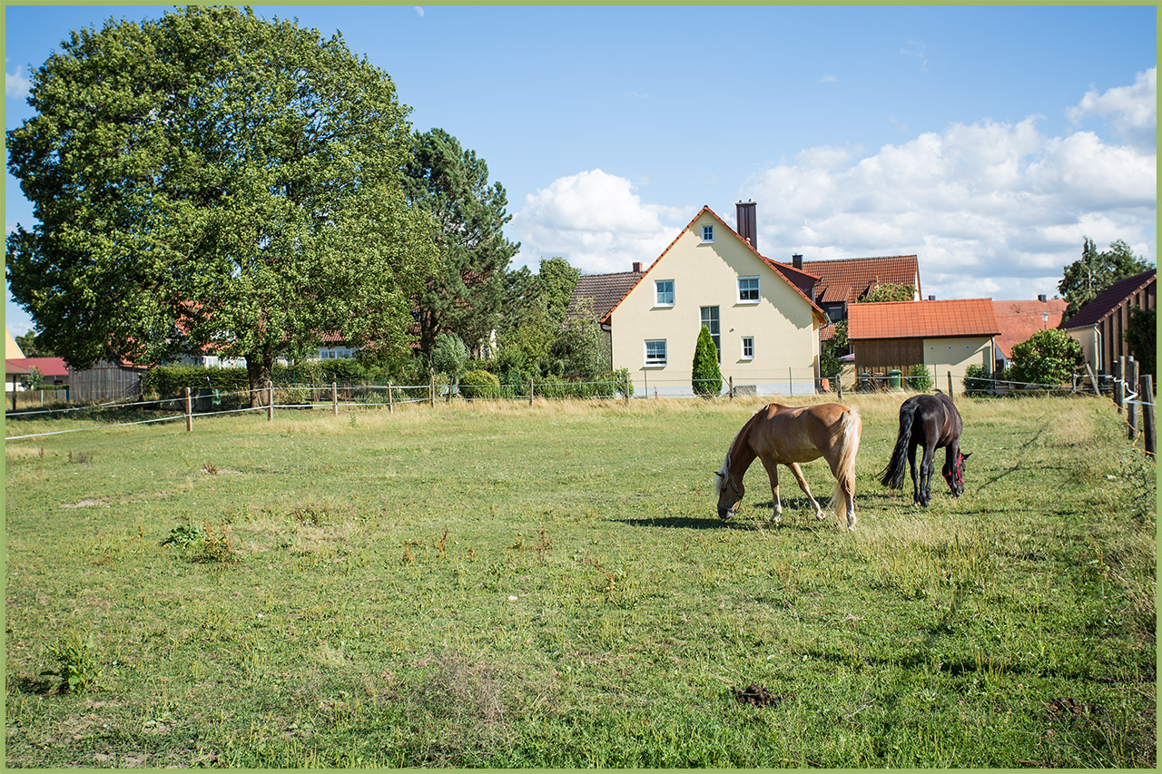 Außenanlage für Pferde rund um dem Reiterhof